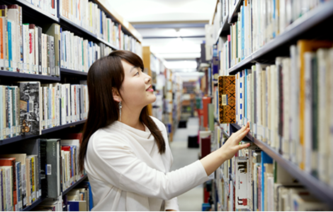 国際文化学部