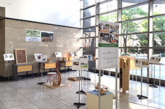 東京の木を紹介する作品展示を開催