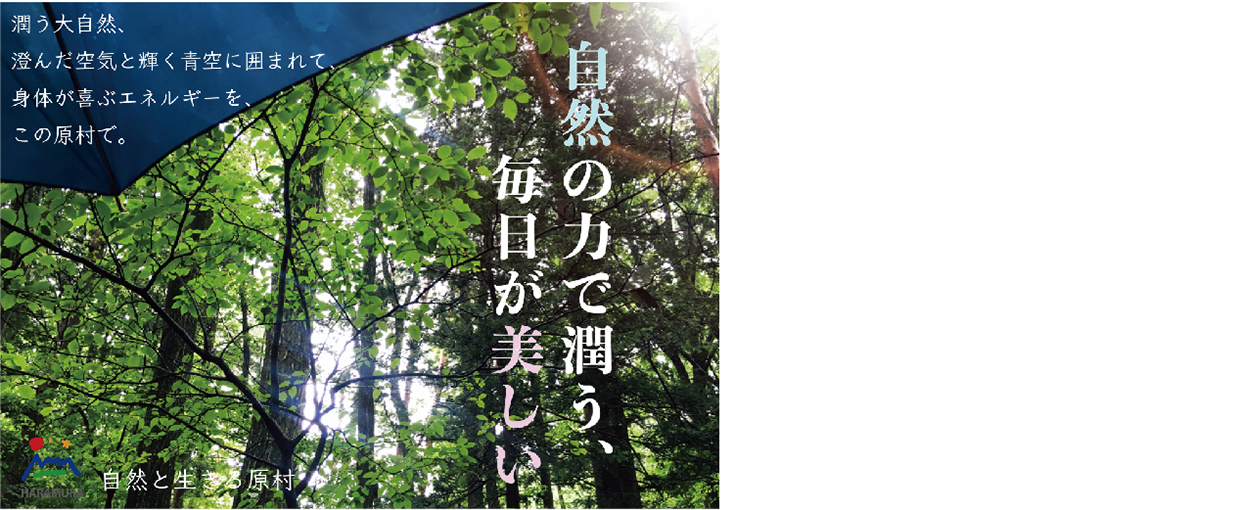 受 賞 日本で最も美しい村 連合コンテスト ポスター部門 文化学園大学